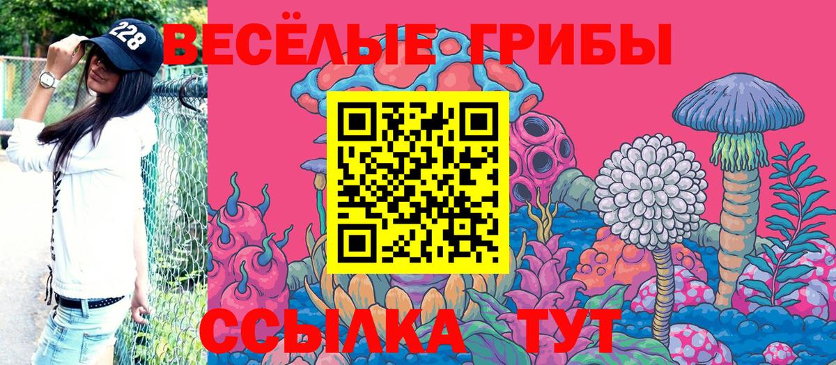 Галлюциногенные грибы Magic Shrooms  Вход с VPN  Благодарный 