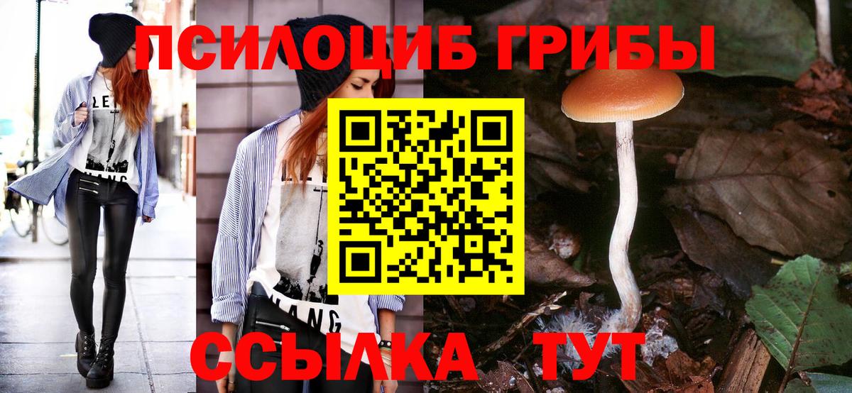 Псилоцибиновые грибы мицелий Благодарный